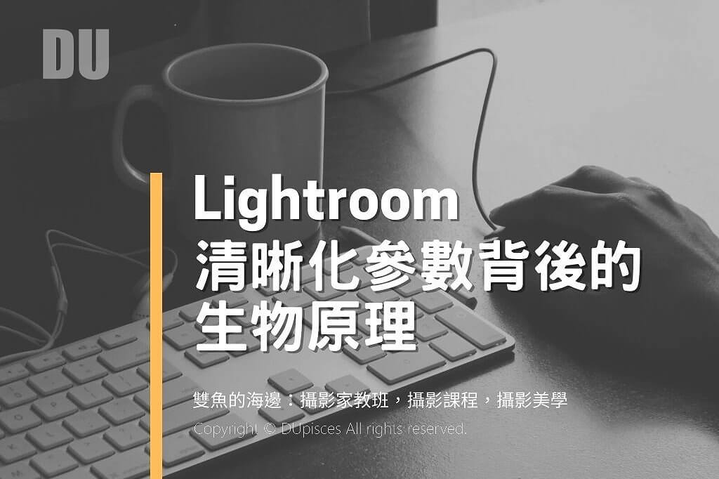 淺談 Lightroom參數的生理機制-2021新版