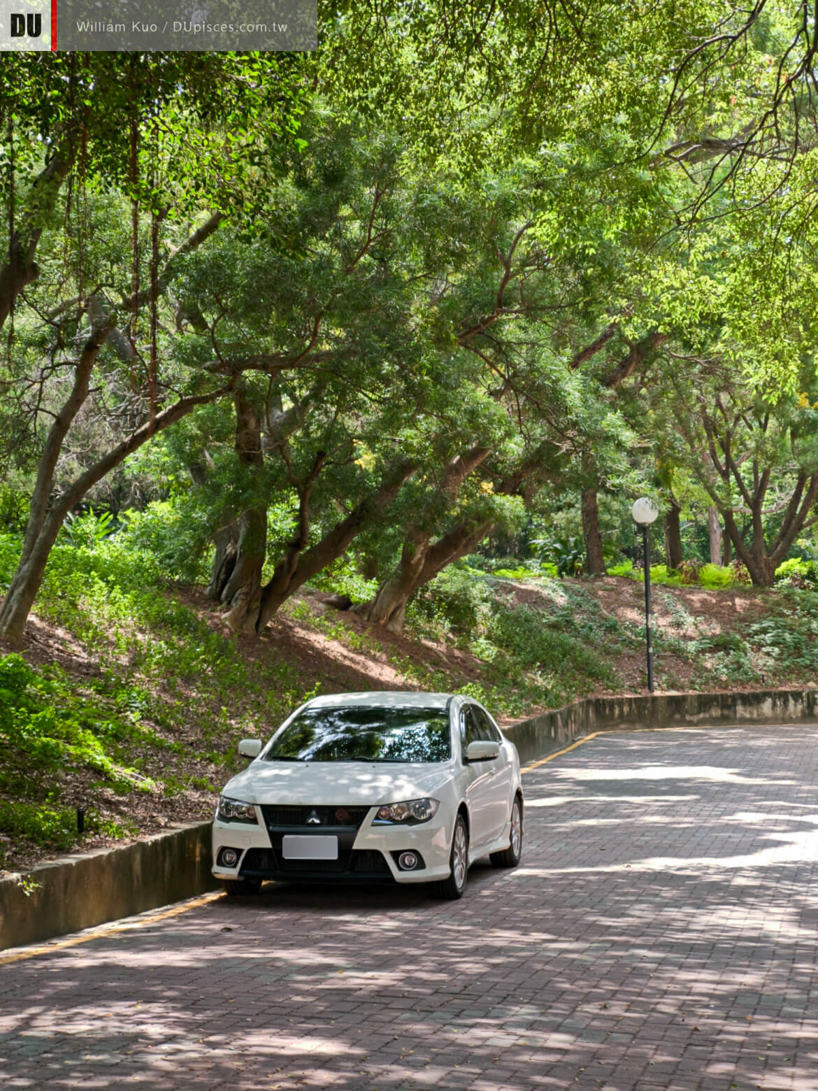 SHARP AQUOS R11 實拍林蔭道路與白色轎車，高反差樹蔭下的葉片細節與動態範圍